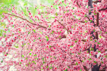 Artificial Sakura flowers for decorating. Spring blossom. Image has shallow depth of field.の写真素材