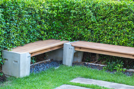 Wooden chairs in the garden for outdoor relaxation.の写真素材