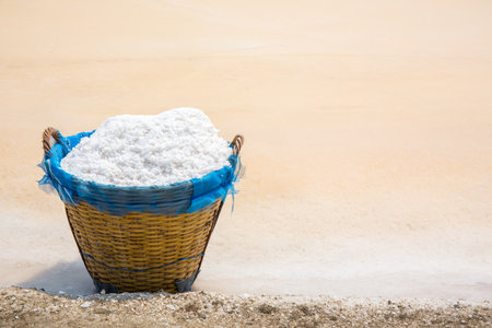 salt piles in the Saline from Samutsakorn, Thailandの写真素材