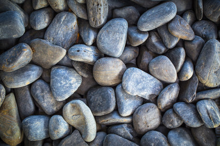 small smooth waterworn black pebbles or stones for use decor and garden landscaping. tone garden interiors. stone spaの写真素材