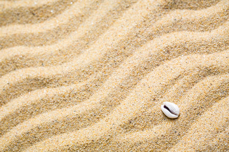 Summer background concept, Sand beach Backdrop with copy space for add text message or design art work.の写真素材