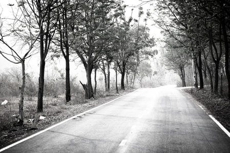 Picture concept, The road ahead will be long. Start from the first step. Image has shallow depth of fieldの写真素材