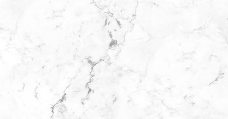 natural White marble texture for skin tile wallpaper luxurious background. Creative Stone ceramic art wall interiors backdrop design. picture high resolution.の写真素材