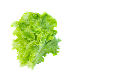 Fresh organic green leaves vegetable on white background. picture used for clean healthy food backdrop. Eating salad to control weight.の写真素材