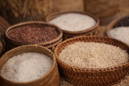 paddy seed backgroundの写真素材
