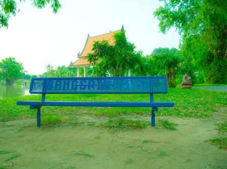 chair colorの写真素材