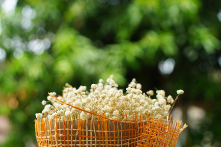 Flower with green bokeh backgroungの写真素材