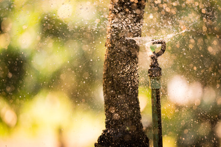 Agricultural water system. Water sprinkler system working in a tree garden at morning . Selective focusの写真素材