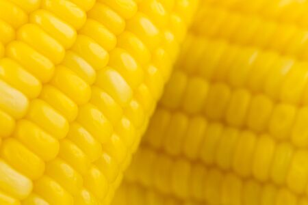 Corn close up
