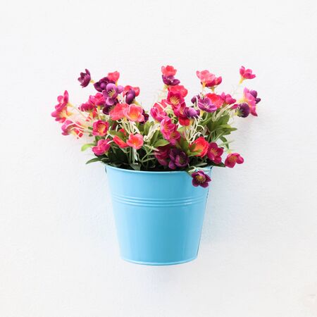 Colorful flowerpot on the white concrete wallの写真素材