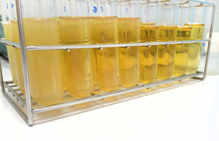 Test Tubes Filled with Chemicalsの写真素材