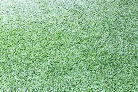 stone on grass green backgroundの写真素材