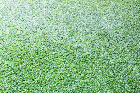 stone on grass green backgroundの写真素材