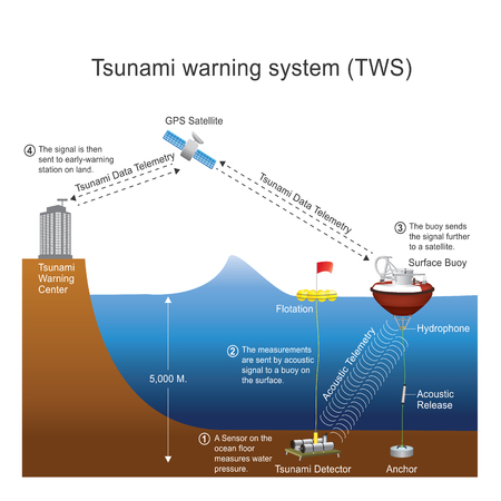 A tsunami warning system (TWS) is used to detect tsunamis in advance and issue warnings to prevent loss of life and damage. It is made up of two equally important components: a network of sensors to detect tsunamis and a communications infrastructure to iのイラスト素材