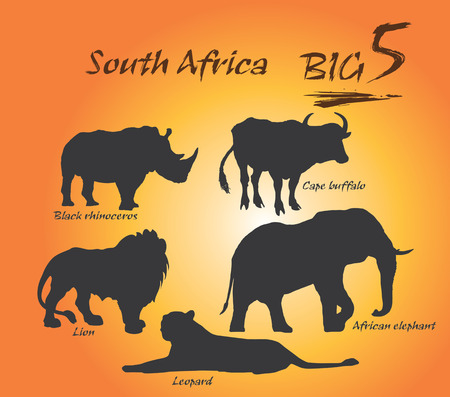 In Africa, the big five game animals are the African lion, African elephant, Cape buffalo, African leopard, and rhinoceros. Vector, Illustration.のイラスト素材