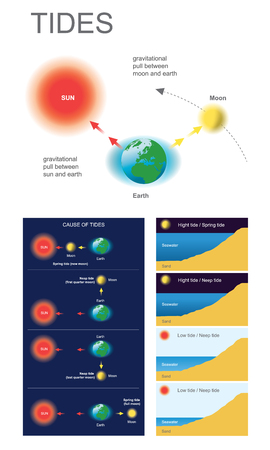 Gravitational pull between moon and earth, Gravitational pull between sun and earth.のイラスト素材