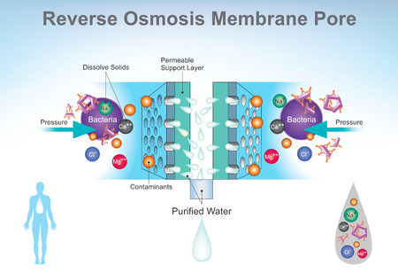 Reverse osmosis (RO) is a water purification technology that uses a semipermeable membrane to remove ions.のイラスト素材