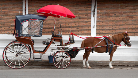 Brown horse with red umbrella in Lam-pang province, Thailand.の写真素材