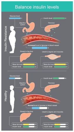 Insulin in healthy body brings glucose into the blood stream for appropriate, glucose excess will be stored in the liver and used in organs or muscles.のイラスト素材
