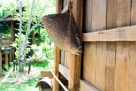 Catch fish.の写真素材