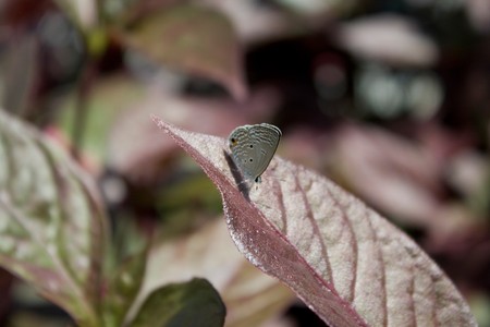 nice summer day.の写真素材