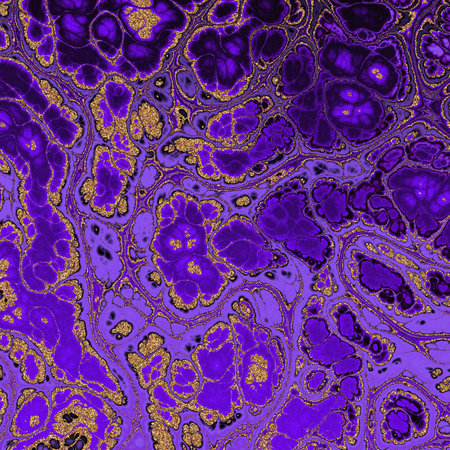 Abstract Marble texture. Fractal digital Art Background. High Resolution. Deep Purple marble with gold veins. Can be used for background or wallpaperの写真素材