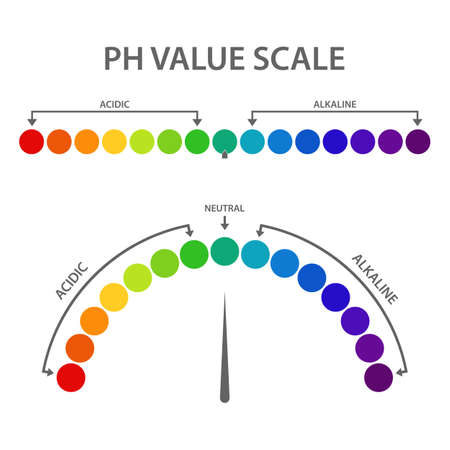 Ph value scale vector design illustration isolated on white backgroundのイラスト素材