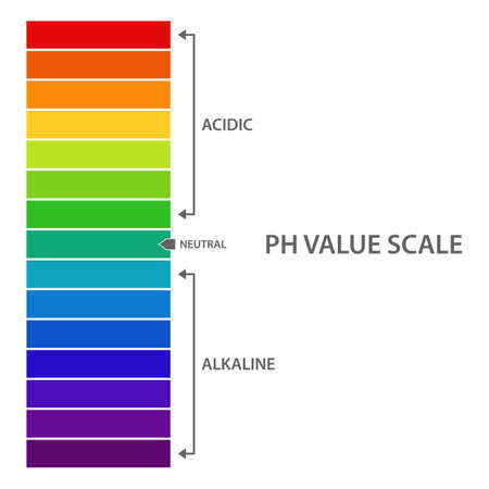 Ph value scale vector design illustration isolated on white backgroundのイラスト素材