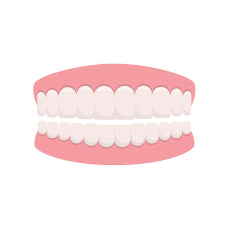 Dentures vector design illustration isolated on white backgroundのイラスト素材