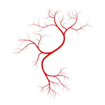 Red veins vector design illustration isolated on white backgroundのイラスト素材