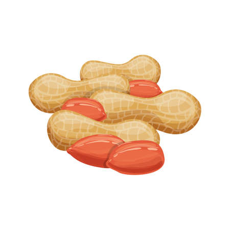 Organic peanuts vector design illustration isolated on white background