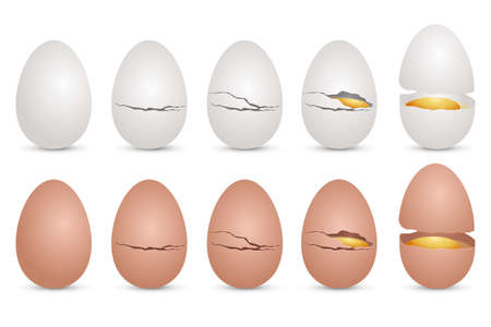 Realistic chicken egg vector design illustration isolated on white background