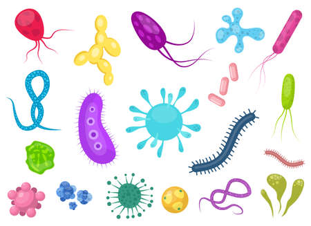Virus bacteria vector design illustration isolated on white background