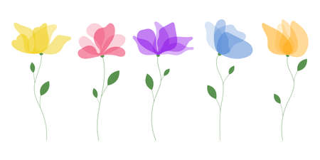 Flower vector design illustration isolated on white backgroundのイラスト素材