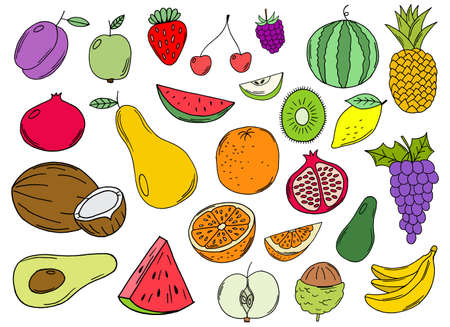 Hand drawn fruits collection vector design illustration isolated on backgroundのイラスト素材