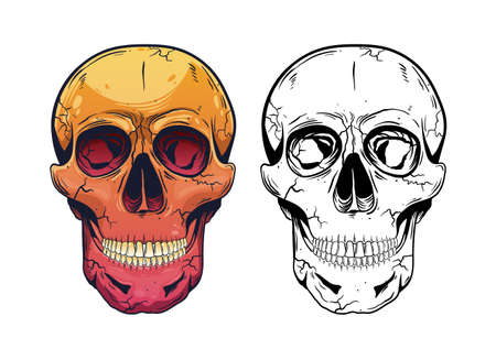 Skull vector design illustration isolated on white backgroundのイラスト素材