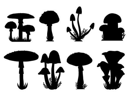 Mushrooms vector design illustration isolated on white backgroundのイラスト素材