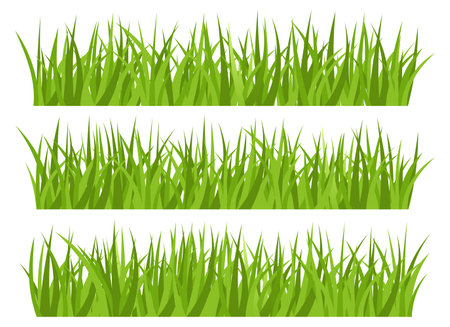Green grass vector design illustration isolated on white backgroundのイラスト素材