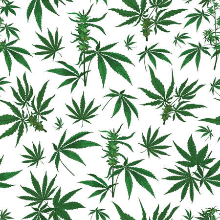 Vector marijuana hemp leaves with seeds seamless pattern background. Great use for wellbeing, fabric, wallpaper, packaging projects, medical projects etc.のイラスト素材