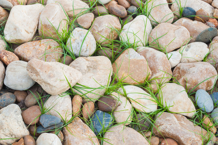 Pebbles stone and Grassの写真素材