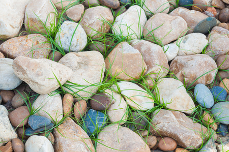 Pebbles stone and Grassの写真素材