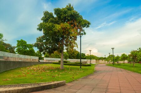 Public park, place for everyone who wants to relaxの写真素材