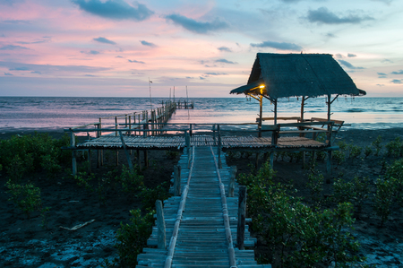Wood pavilion port in the developing mangrove forest under the sunsetの写真素材