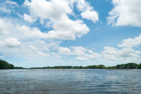 Blue sky on the sea near the mangrove forest in Thailandの写真素材