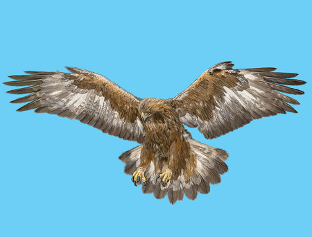 Golden landing hand draw and paint color on blue background illustration.の写真素材