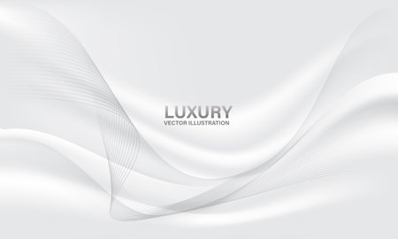 Abstract white grey wave luxury premium background vector illustration.のイラスト素材