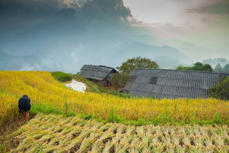 Rice green terrace in front of mountain landscape view  located at SAPA, Vietnamの写真素材