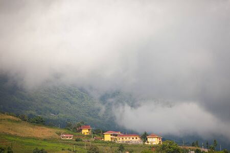 Green of rice terrace on hill of mountain  located at SAPA Vietnam