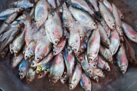 Fresh fish and ice located at fresh market located at Thailandの写真素材