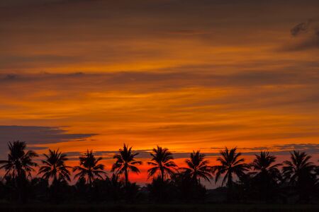 Silhouette reflection of sunrise on water among palm tree with foggy background located at south of Thailandの写真素材